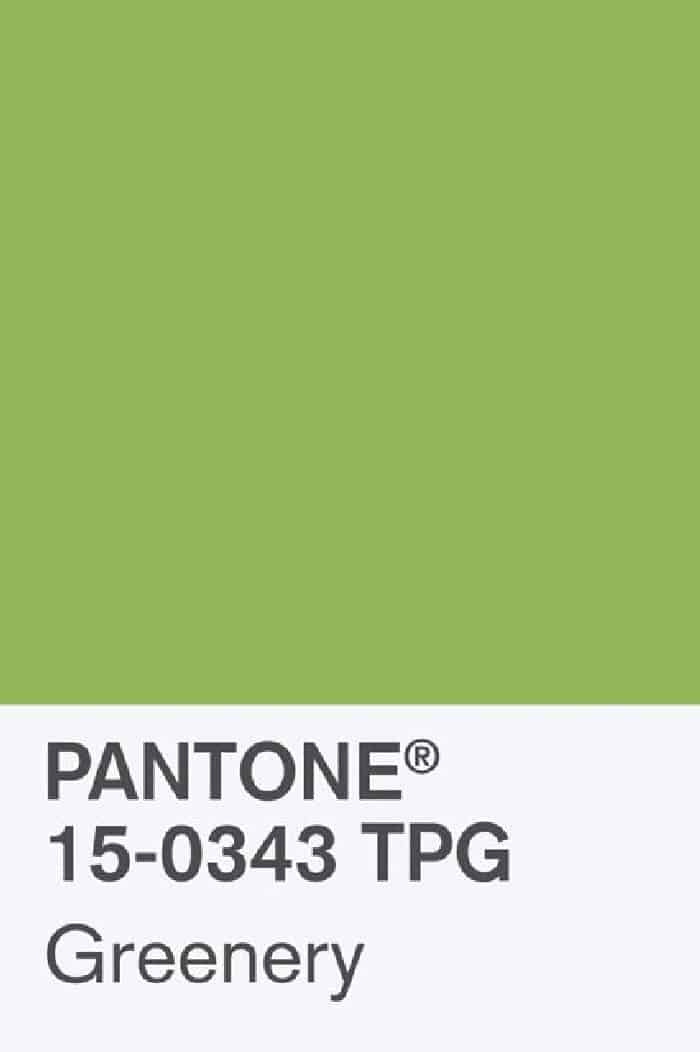 pantone green